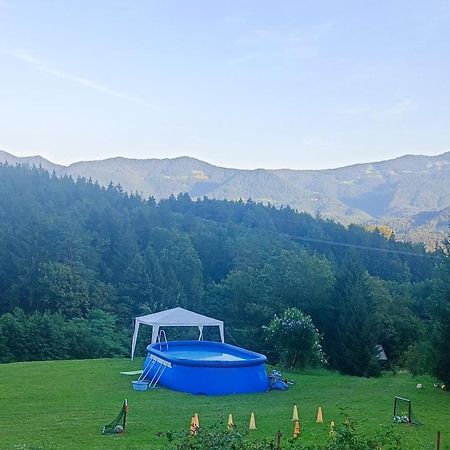 Apartmaji Borstner Vransko Экстерьер фото
