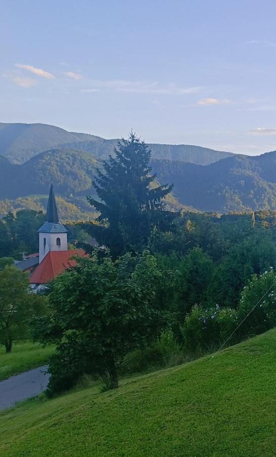 Apartmaji Borstner Vransko Экстерьер фото